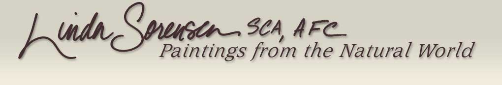 Linda Sorensen - Canadian wilderness landscape artist